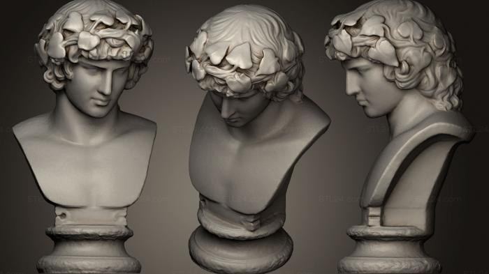 Бюсты и головы античные и исторические (Антинойный, BUSTA_0321) 3D модель для ЧПУ станка